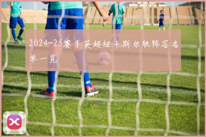 2024-25赛季英超纽卡斯尔联阵容名单一览
