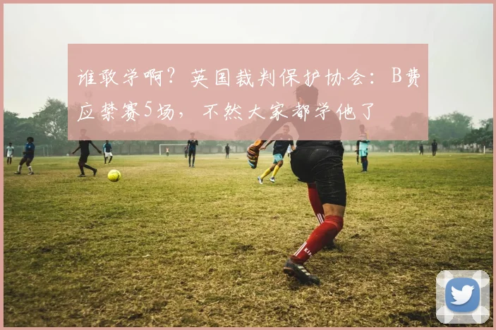 谁敢学啊？英国裁判保护协会：B费应禁赛5场，不然大家都学他了