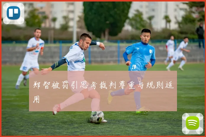 郑智被罚引思考裁判尊重与规则适用