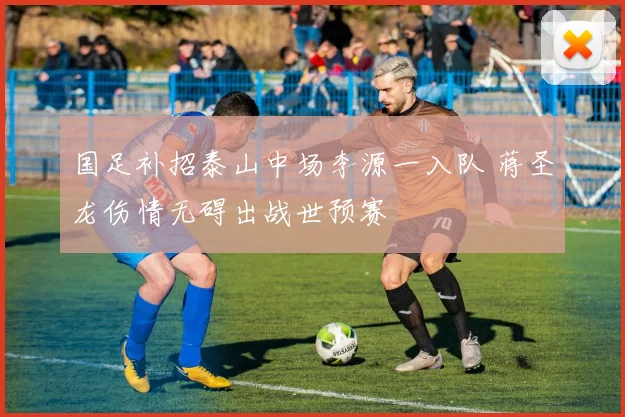 国足补招泰山中场李源一入队 蒋圣龙伤情无碍出战世预赛