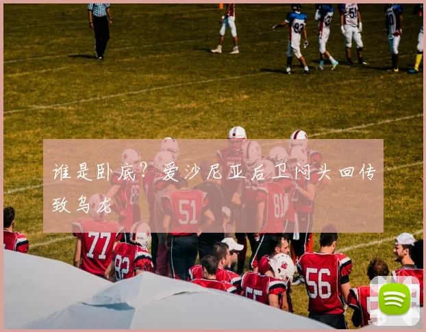 谁是卧底？爱沙尼亚后卫闷头回传致乌龙