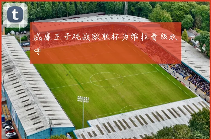 威廉王子观战欧联杯为维拉晋级欢呼