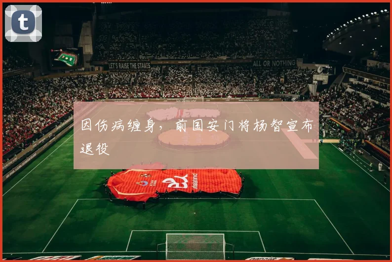 因伤病缠身，前国安门将杨智宣布退役