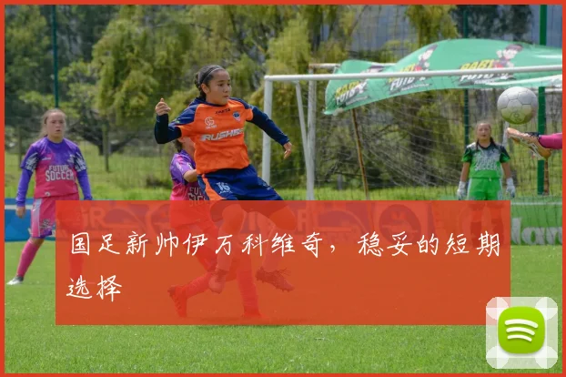 国足新帅伊万科维奇，稳妥的短期选择