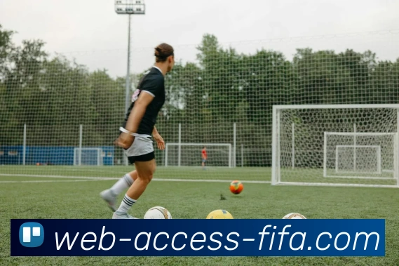 世界杯官方网站平台生态图