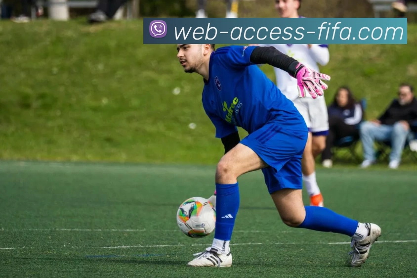 世界杯官方网站全站App